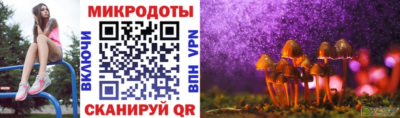 как найти закладки  Кемь  Псилоцибиновые грибы Magic Shrooms 
